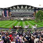 how to place a bet at royal ascot